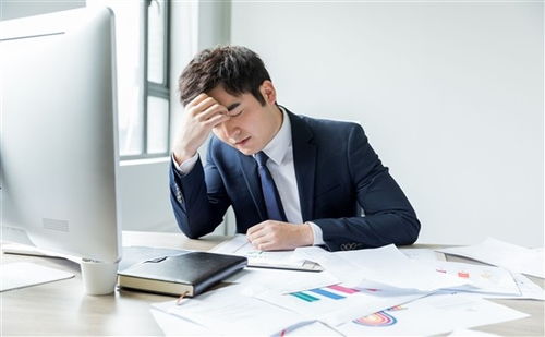 上海人力資源管理師培訓(xùn)全方位指南 機(jī)構(gòu)選擇、費(fèi)用解析與備考策略